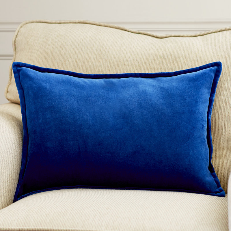 Mercer41 Velvet Lumbar Pillow & Reviews Wayfair